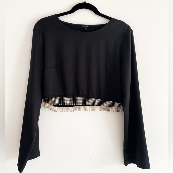 Dynamite Long Sleeve Satin Top with Rhinestone Hem, Size M - Picture 1 of 10
